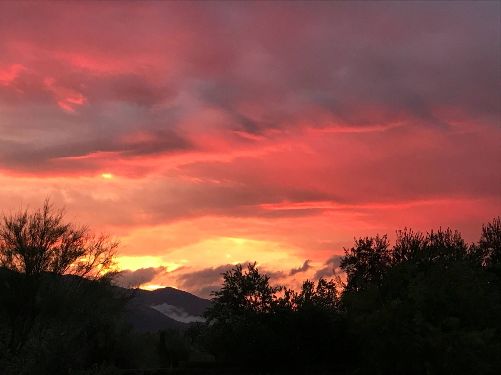 Reader sunsets